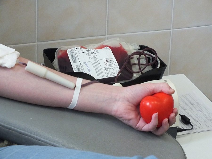 20 сентября в Гатчине можно сдать кровь