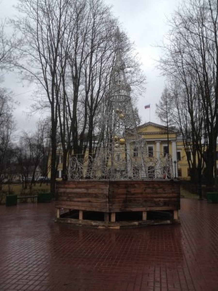 В Ленинском садике устанавливают главную гатчинскую ёлочку