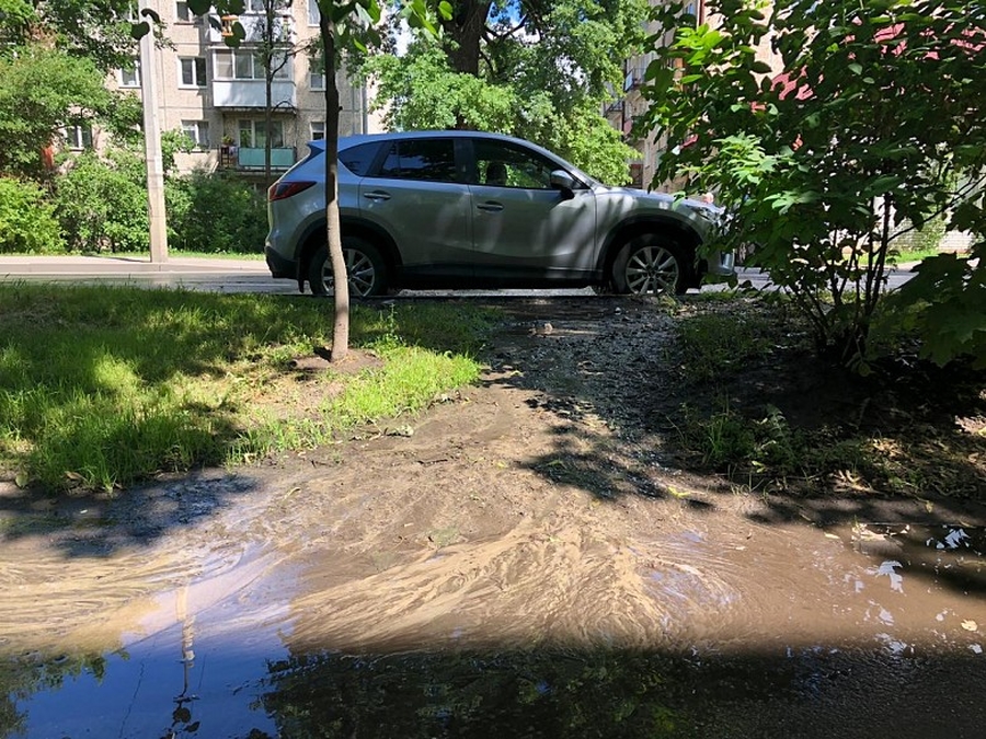 В Гатчине из-за утечки колодца затопило проезжую часть