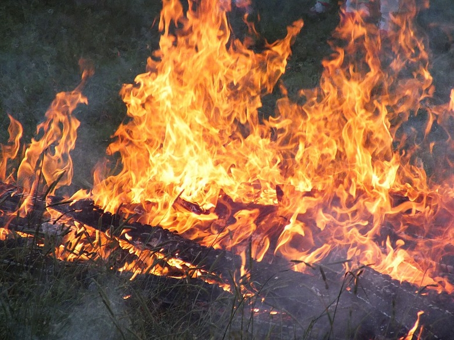 В Гатчине сгорел частный дом с хозпостройками