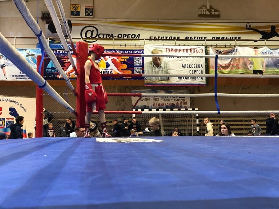 В Гатчине прошли финалы первенства района по боксу