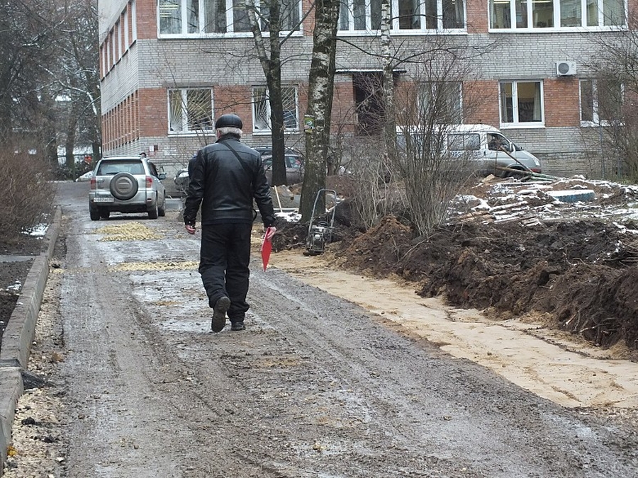 На Володарского, 15 сторонники парковок победили защитников деревьев