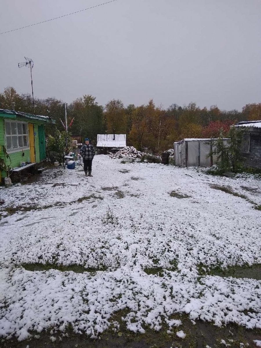 Сегодня в Гатчинском районе синоптики обещают первый снег