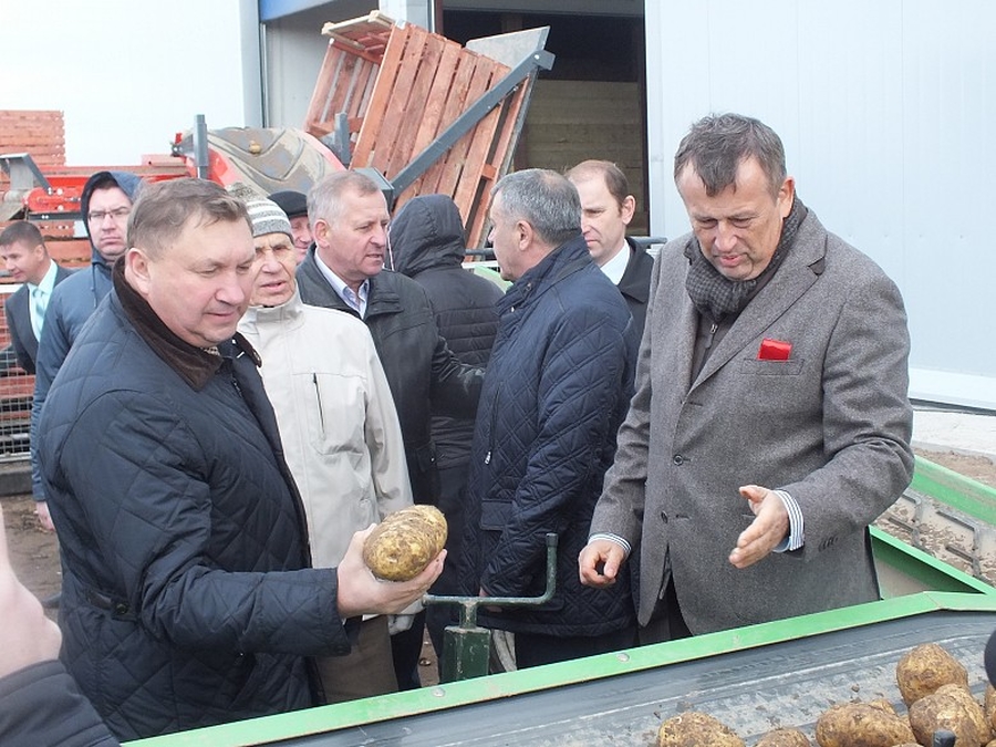 НЕТ импорту: Волосовский район накормит картошкой всю страну