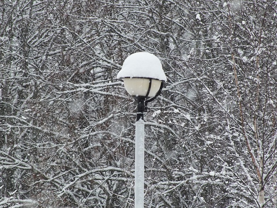 В первый рабочий день года в Ленинградской области прогнозируют снегопад
