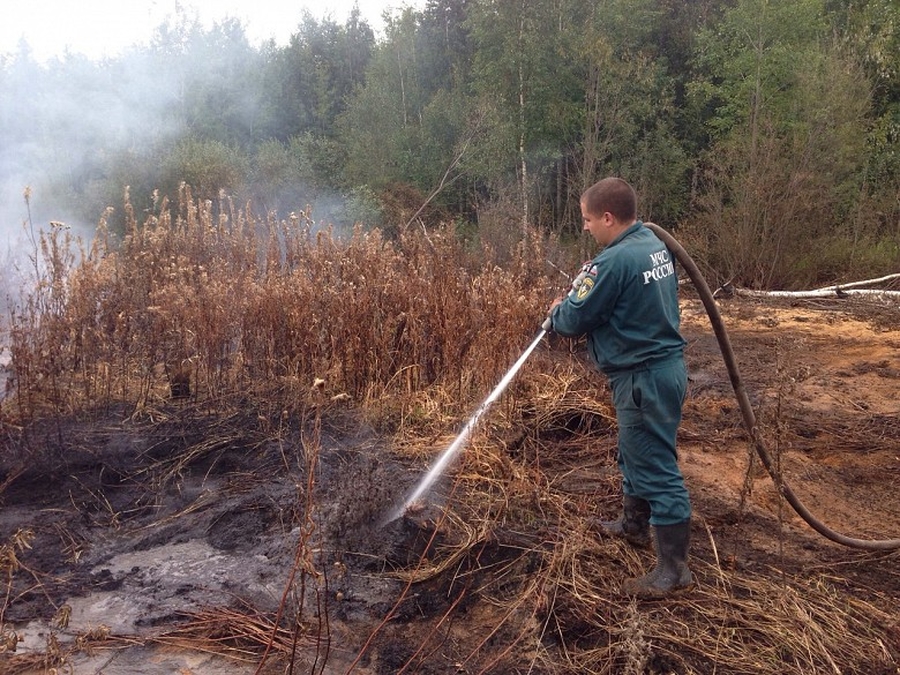 Гатчинские сотрудники МЧС отработали ликвидацию последствий лесных пожаров и пала травы