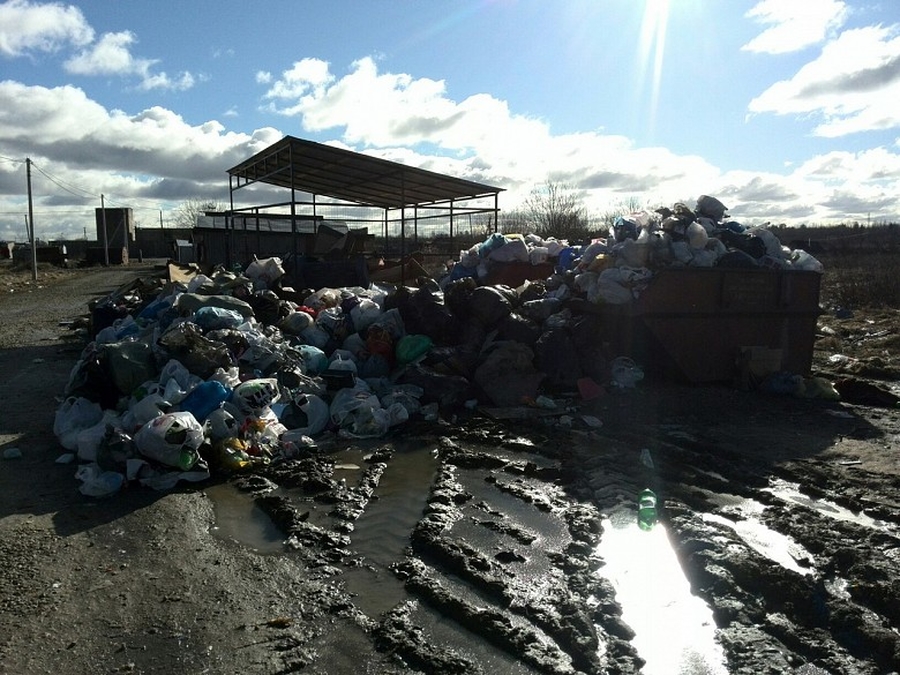 В Пудомягах пятый день не вывозят мусор