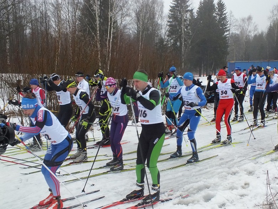 В  Орловой роще Гатчины прошли соревнования по лыжным гонкам