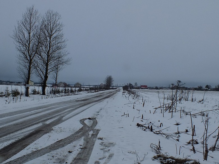 21 ноября в Гатчинском районе может выпасть снег