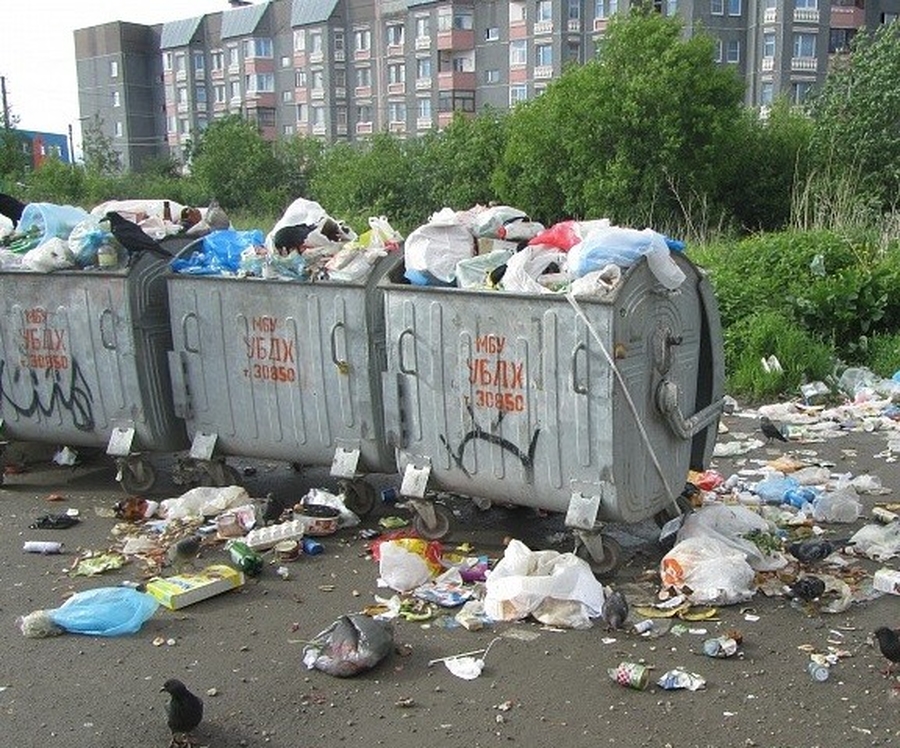 В Гатчинском районе объявлен антиконкурс на самое грязное место
