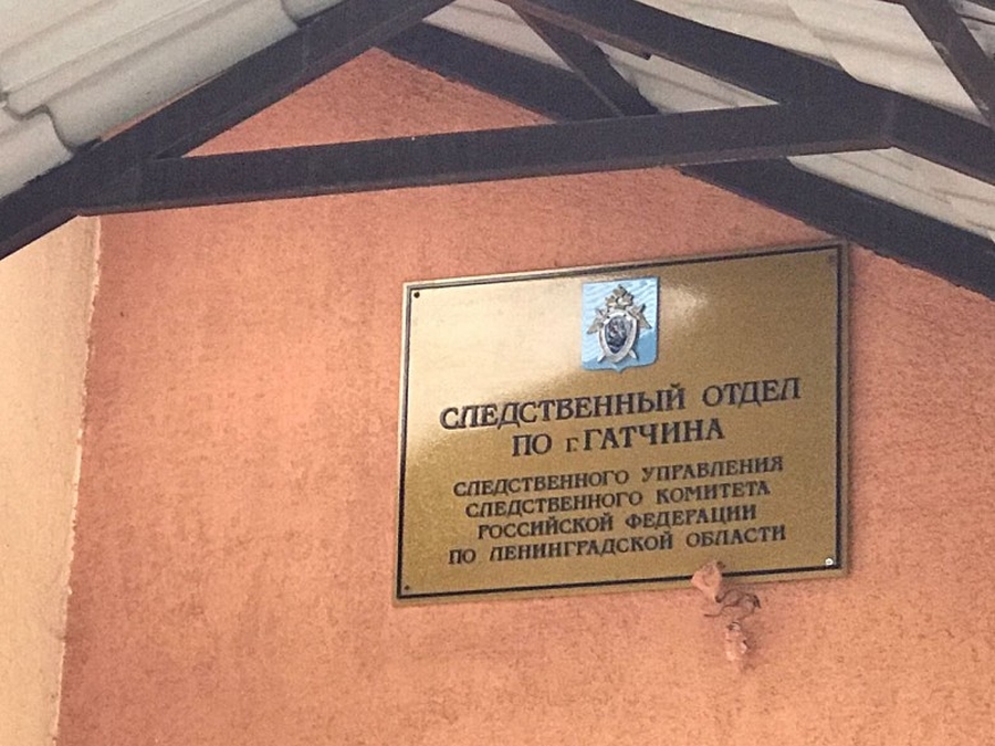 Жителя Гатчинского района обвиняют в педофилии