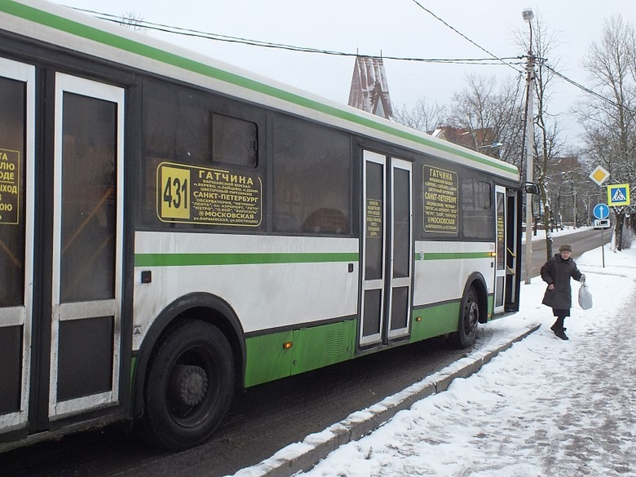 Автобус №431 жители Гатчинского района прозвали 