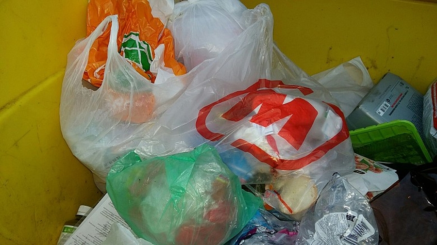Гатчинцев призывают цивилизованно относиться к сбору мусора