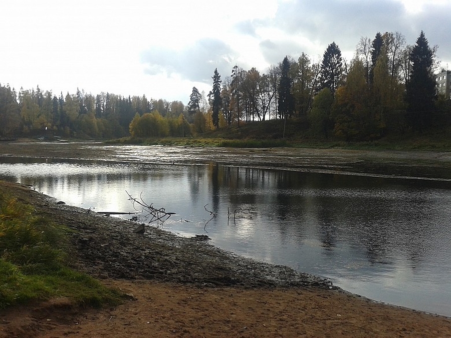 Волонтерам заплатят 600 тысяч рублей за уборку рек и озер Ленобласти