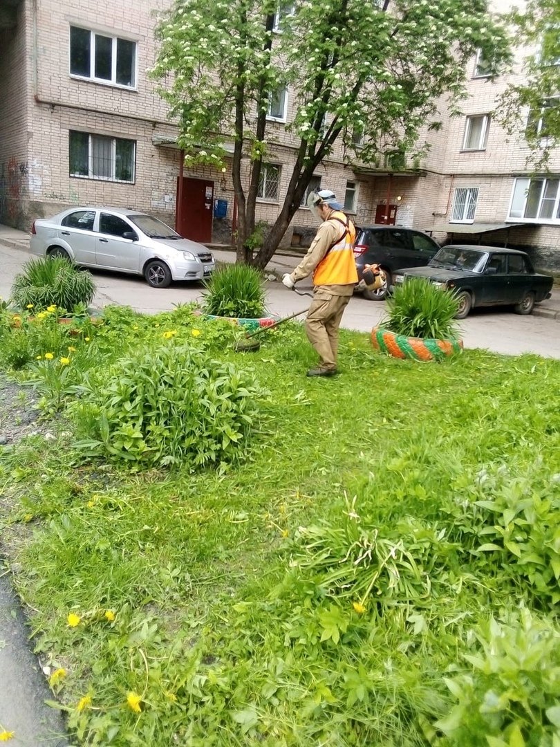 В Гатчине продолжается окашивание газонов и ямочный ремонт | 02.06.2021 |  Гатчина - БезФормата