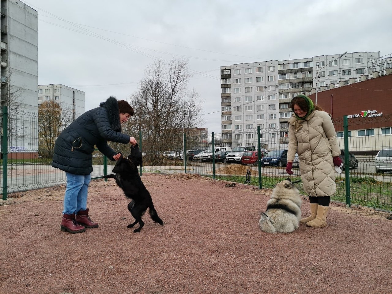 Гатчинская Служба Новостей —