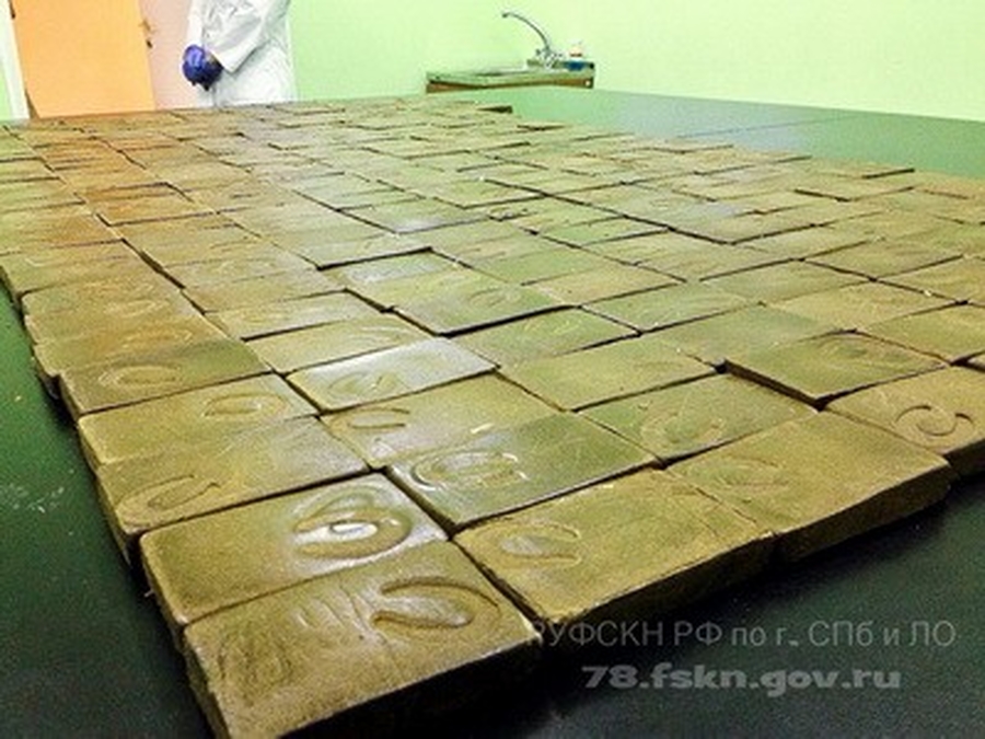 В Гатчинском районе обнаружен гараж с наркотиками и оружием