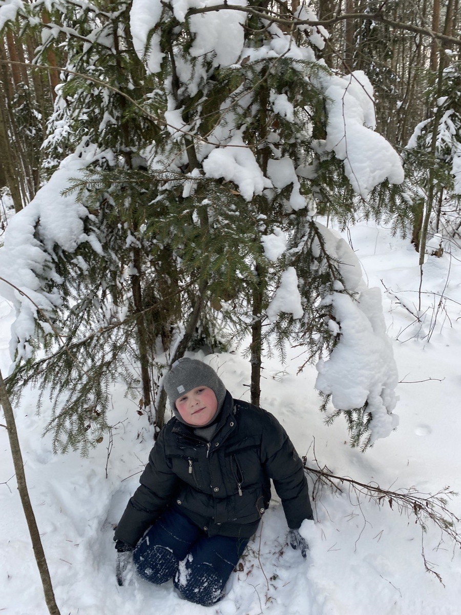 1 декабря начался официальный тур за ёлками в леса Ленинградской области 