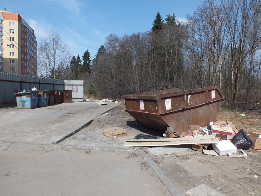 Депутаты настаивают на реконструкции контейнерных площадок в Гатчине