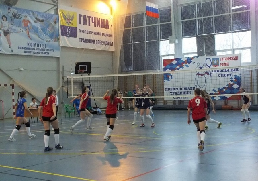 В Гатчине стартовала Спартакиада учащихся России по волейболу