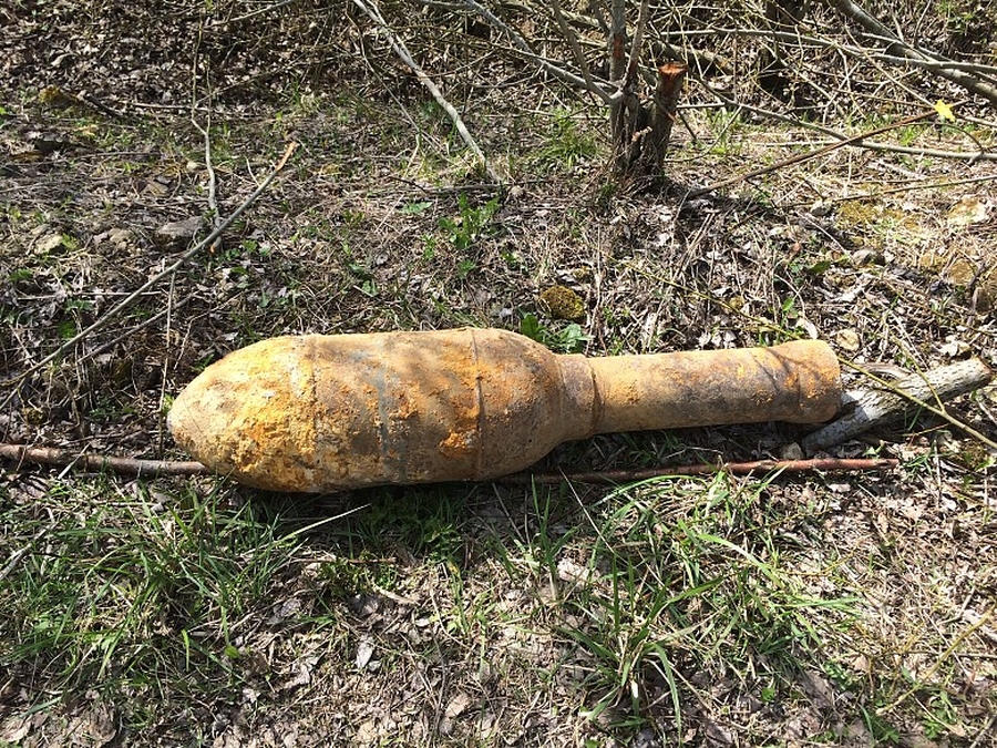 Эхо войны: в Гатчинском районе уничтожили боеприпасы времен Великой Отечественной