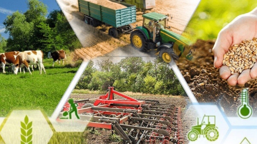Правительство РФ продолжает работу по системной поддержке аграриев