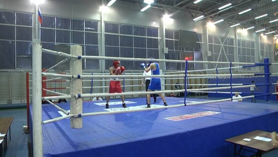 Гатчина стала центром проведения областного чемпионата по боксу
