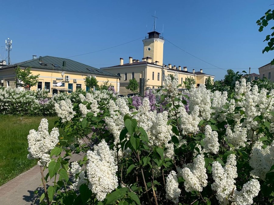 Гатчинцам обещают жаркую среду без дождя и до +28 градусов