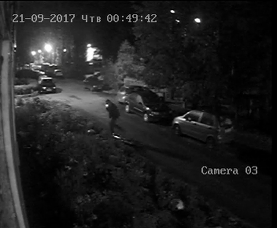 В Гатчине ограбили двор... под прицелом 4-х видеокамер