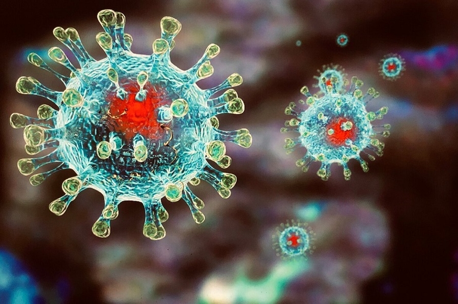 Новые случаи заболевания коронавирусом: Гатчина вновь в лидерах