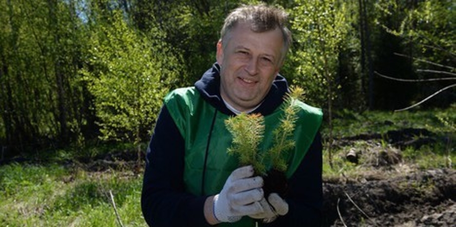 Александр Дрозденко посадил дерево