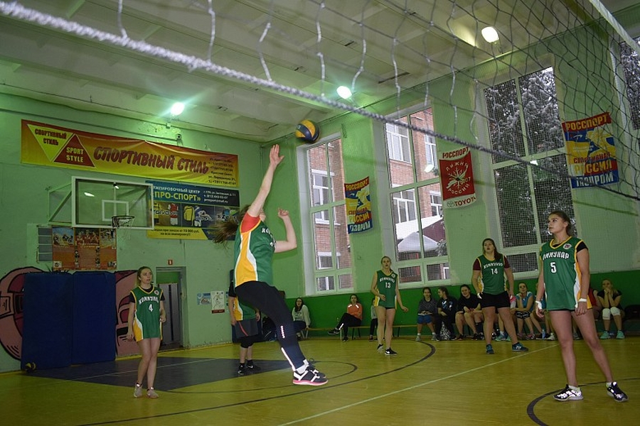 В память о Николае Волкове в Гатчине сыграли в волейбол