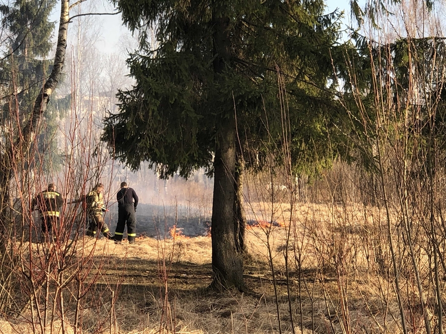 Суббота и воскресенье в Гатчинском районе: 6 пожаров за 2 дня 