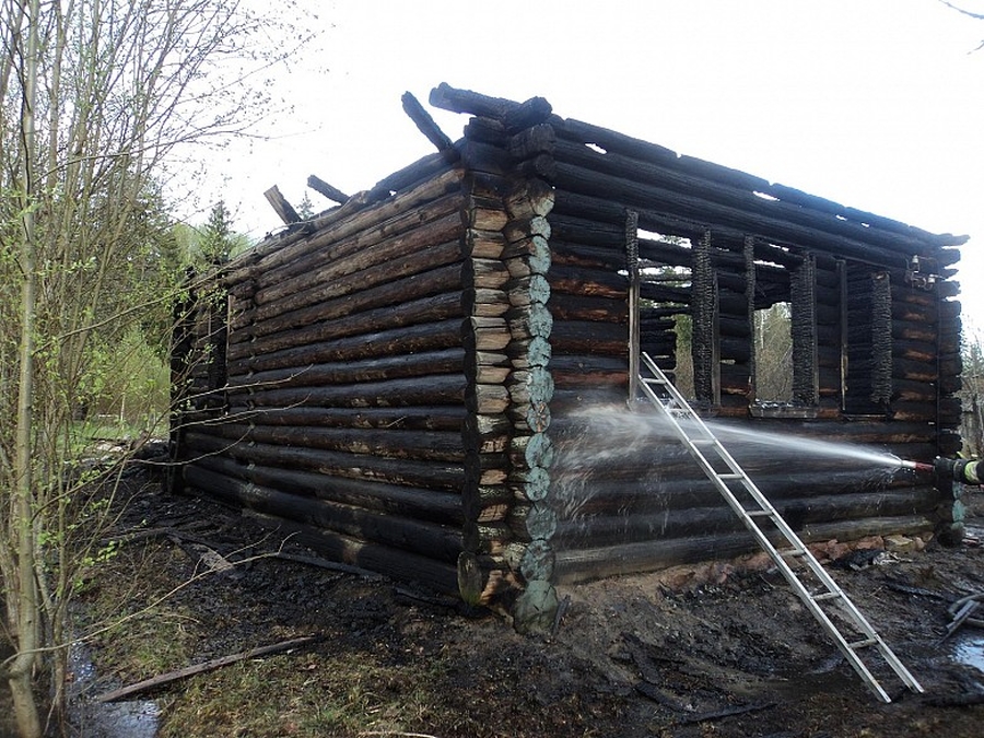 В Гатчинском районе заживо сгорели двое