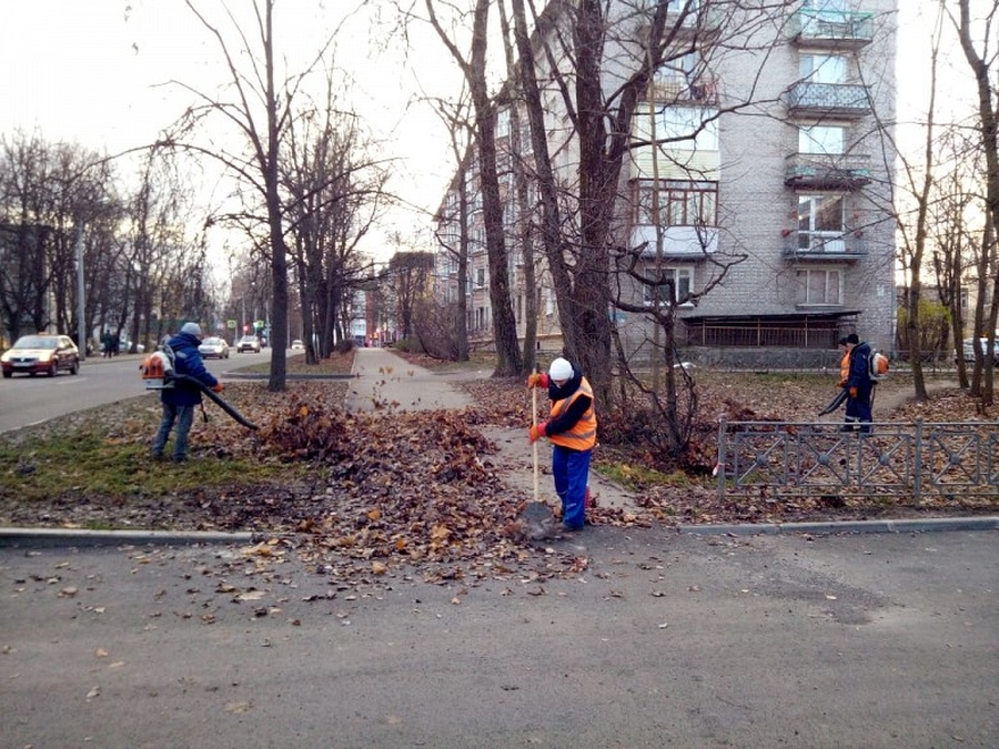 На уборку листвы в Гатчине добавят сил