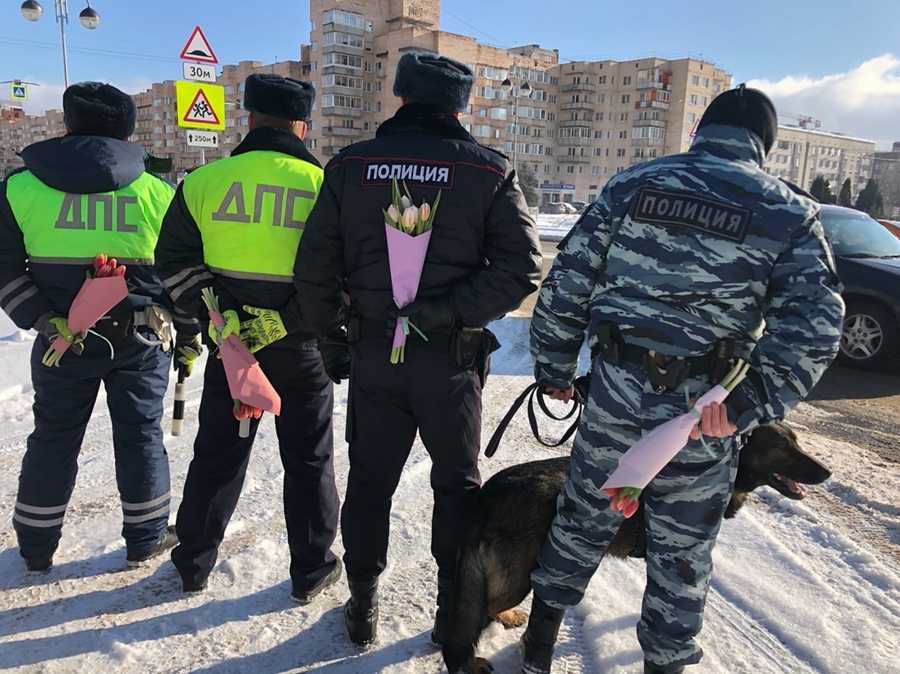 Сотрудники ГИБДД и полицейские с собаками: на гатчинских автодорогах прошла спецоперация