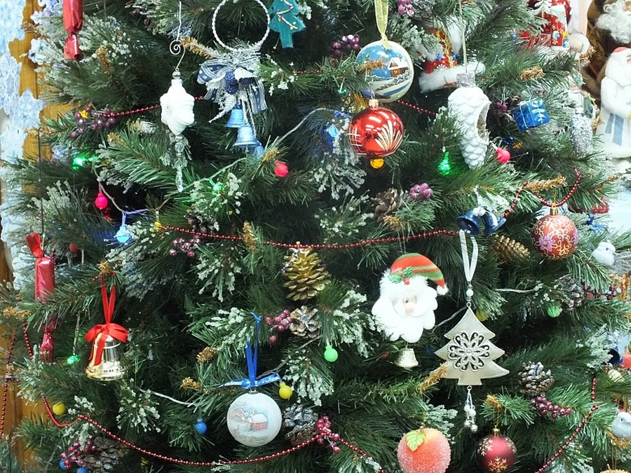 Маленькие гатчинцы помогут украсить новогоднюю елку во Дворце