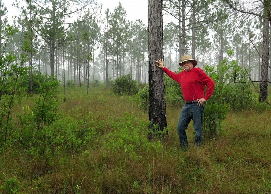Миллионер из США  высадил 8 млн деревьев и восстановил лес, вырубленный 100 лет назад