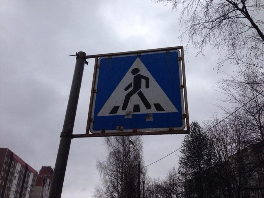 Вопрос размещения знака пешеходного перехода и зебры на ул. Достоевского решится 26 января