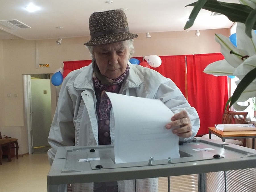Гатчинский район лидирует по числу пришедших на досрочное голосование