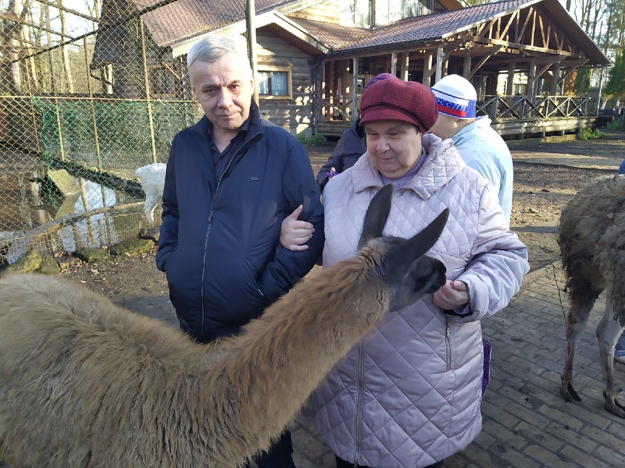  Активисты Гатчинской местной организации общества слепых посетили приют для животных