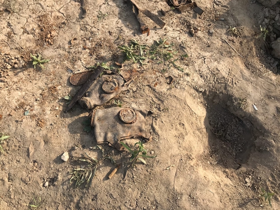 В Гатчинском районе найдены останки 5 солдат