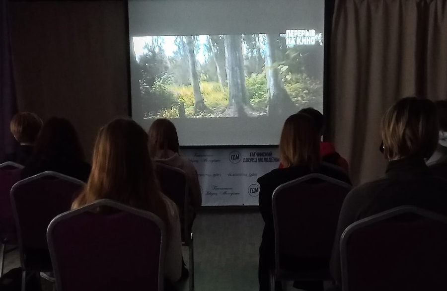 Волонтёры Гатчинского Дворца Молодёжи присоединились к акции «Перерыв на кино»