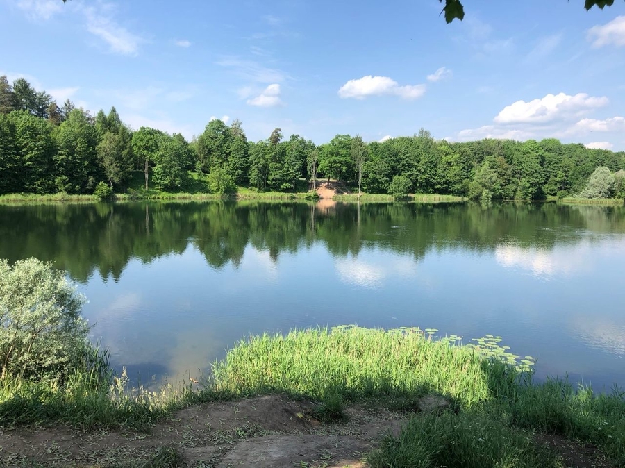 В Приоратском парке планируется очистка озер