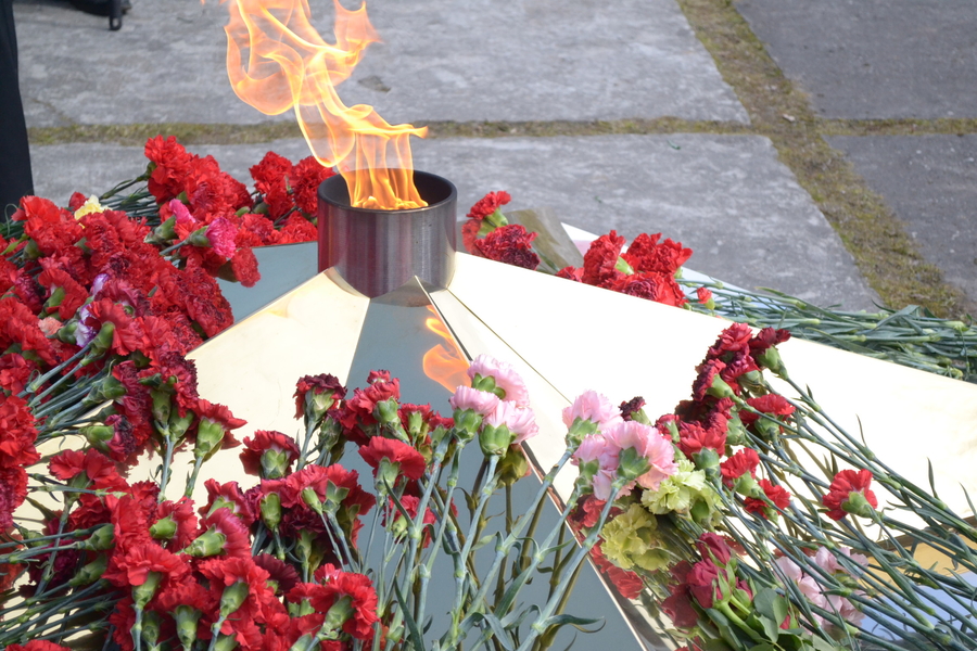 Пенсионный фонд поможет увековечить память героев Великой Отечественной войны