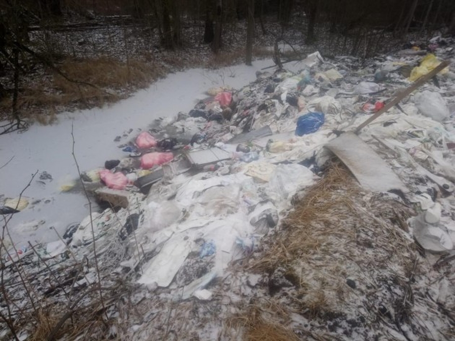 Покрышки вперемешку с опасными медицинскими отходами найдены на берегу реки в Гатчинском районе