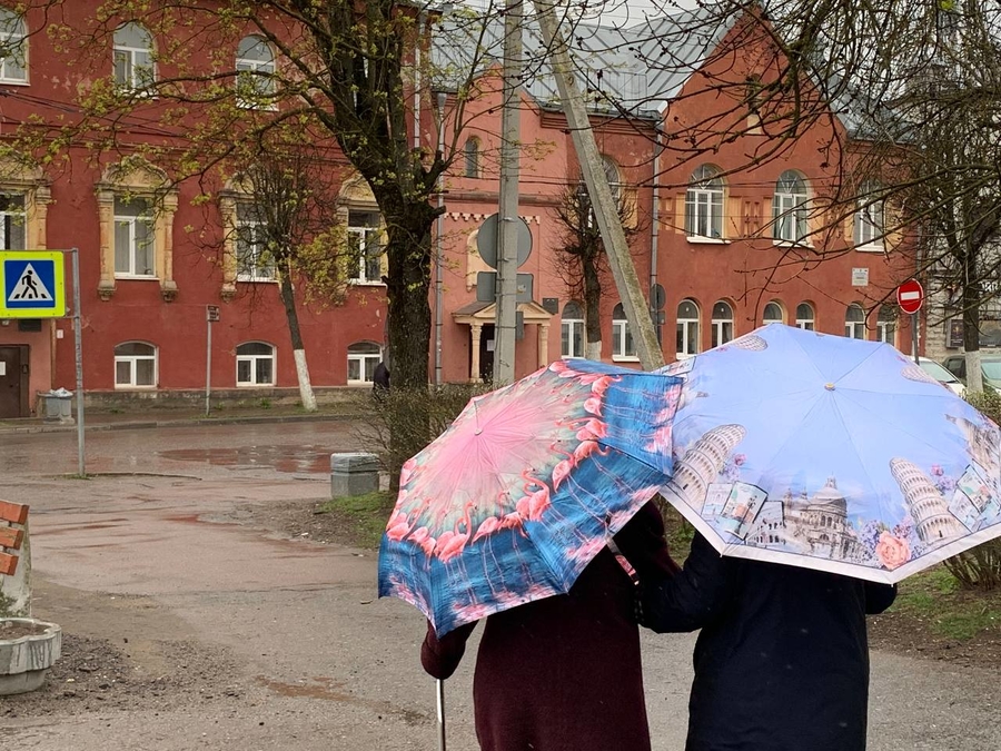 Готовим зонтики: гатчинцев ждёт похолодание