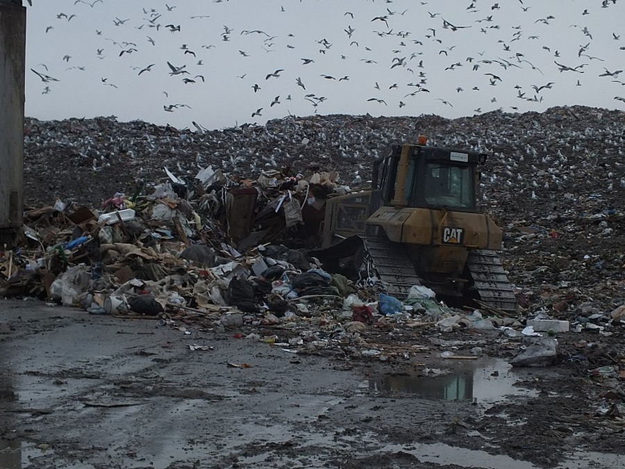 Горы мусора на полигоне 