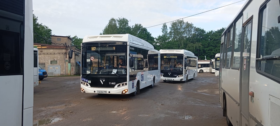 Новые автобусы вышли на 107 маршрут Гатчины