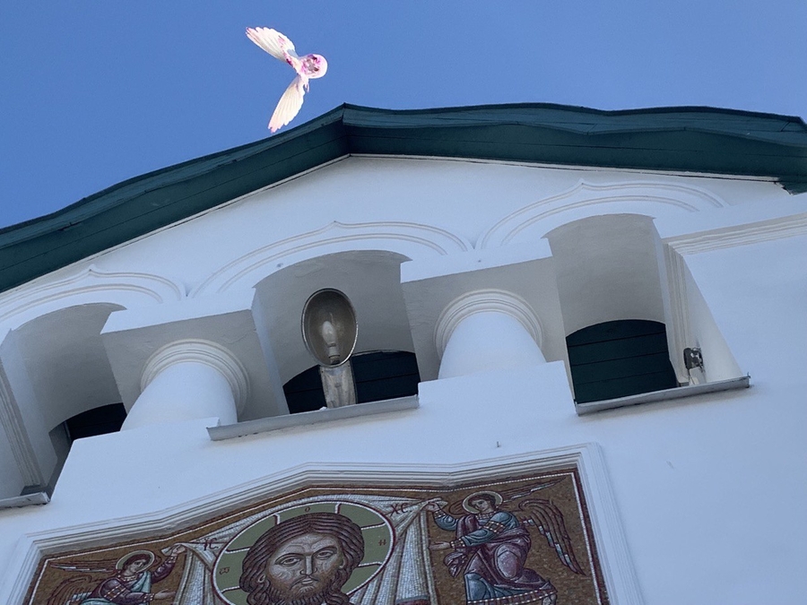 В Тайцах на Благовещение выпустили в небо голубей 